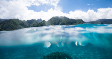 Tom Lowe, ฟื้นตัว, Teahupoo, อุบัติเหตุ